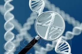 Клиника «Единство» проводит генетический анализ ДНК
